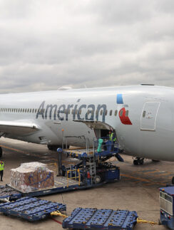 a plane with luggage being loaded with luggage