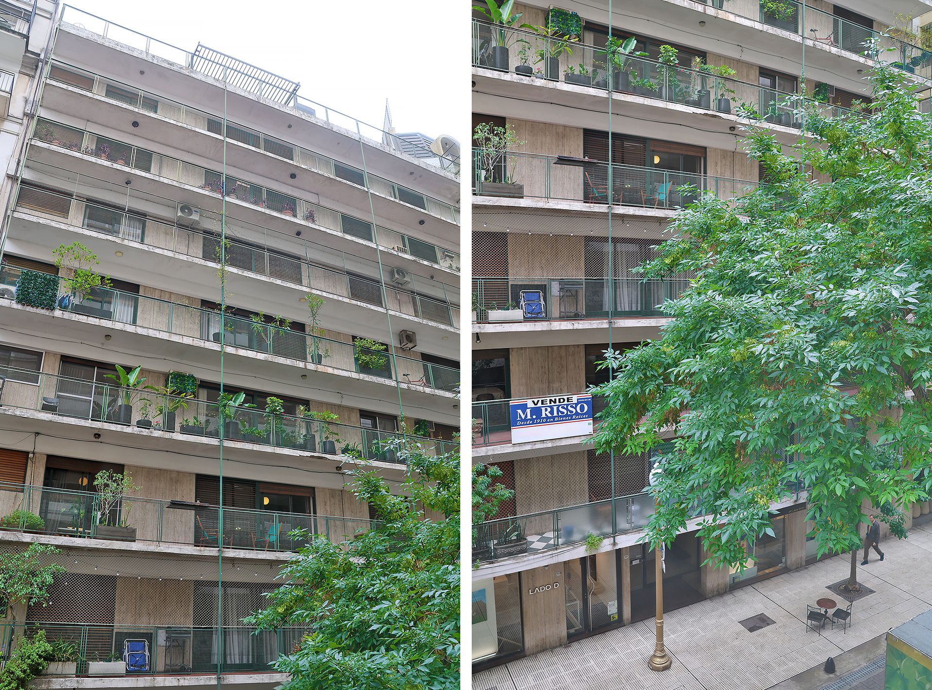 a tree next to a building