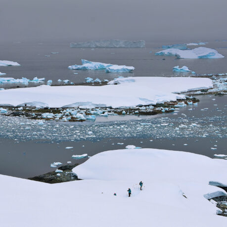 icebergs in the water with people walking on the snow