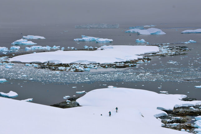 icebergs in the water with people walking on the snow