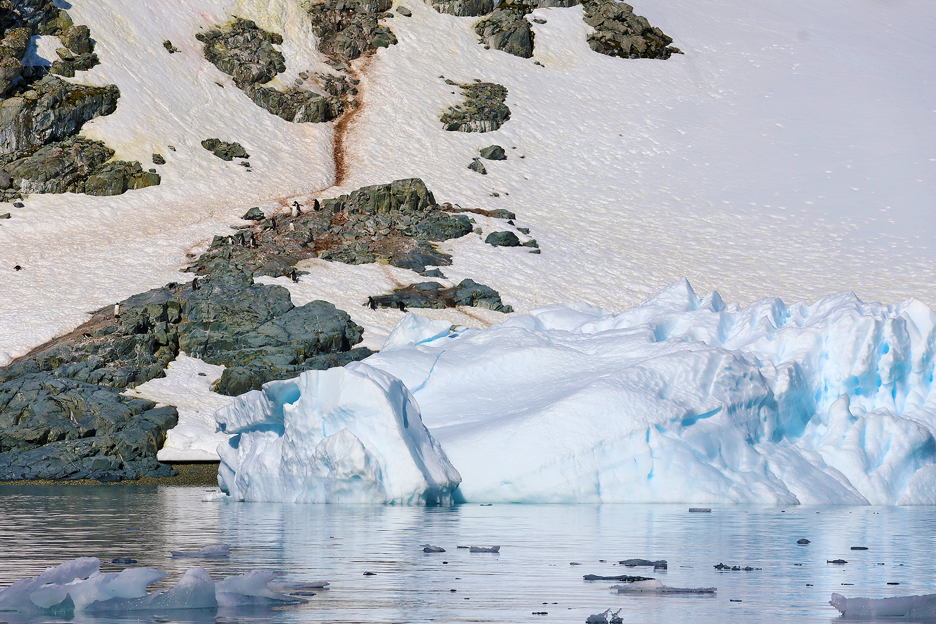 a snow covered mountain with icebergs in the water