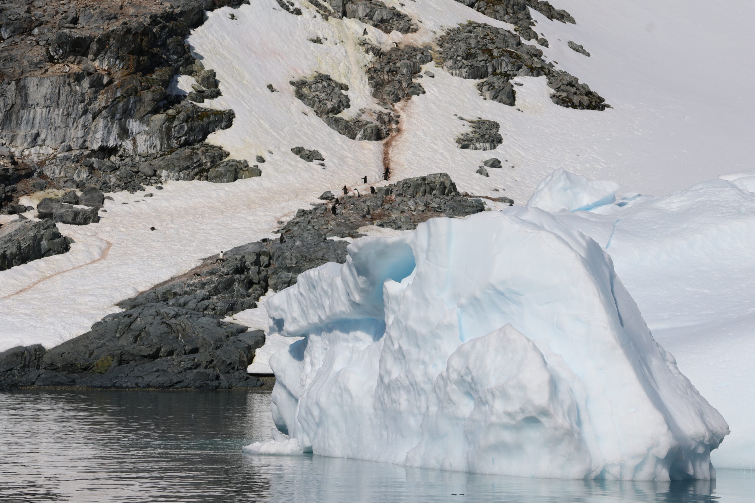 a group of people walking on a snowy mountain